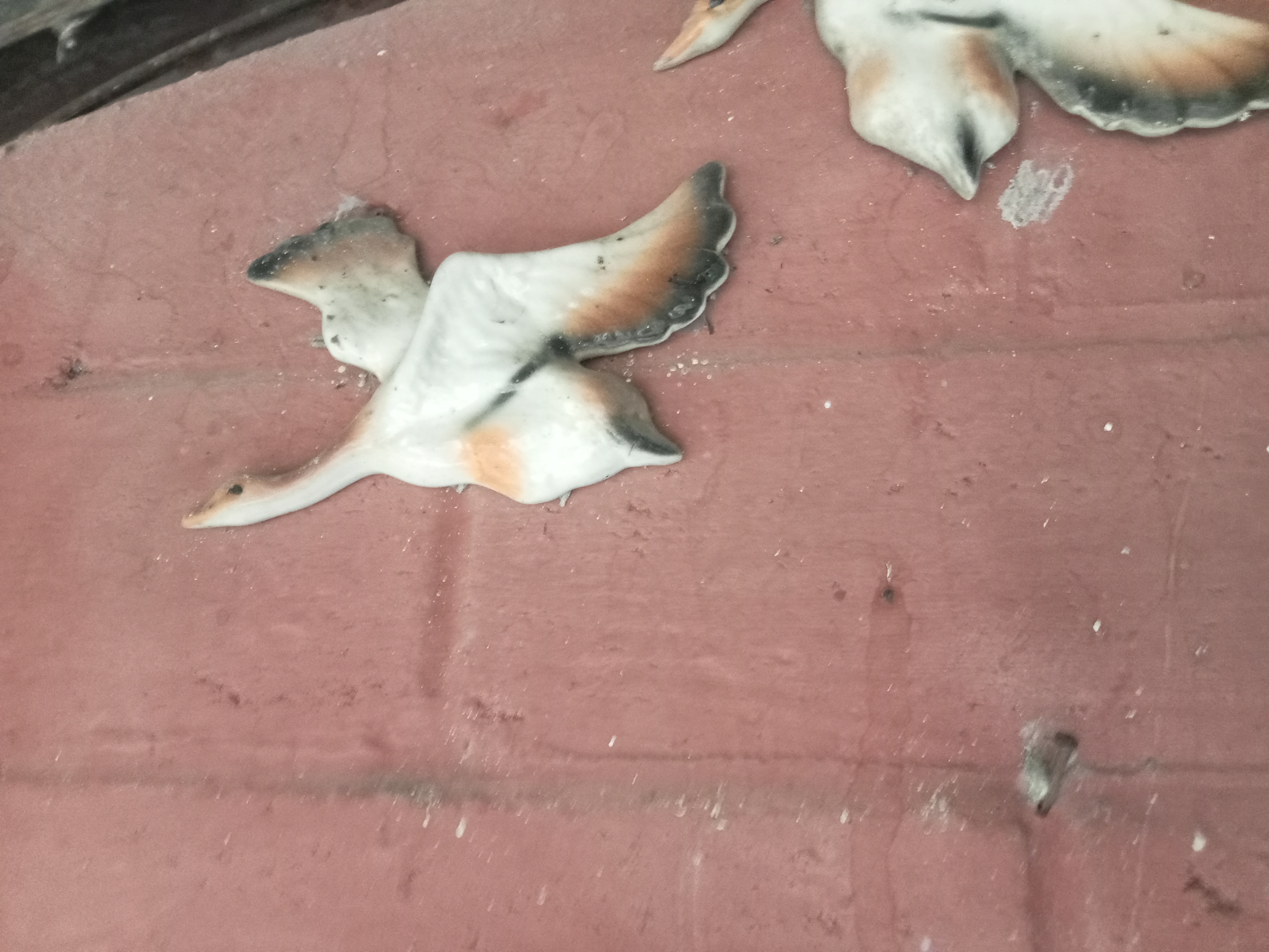 Rare wall-mounted birds since 1990, only 4 in perfect condition left.: 2 image
