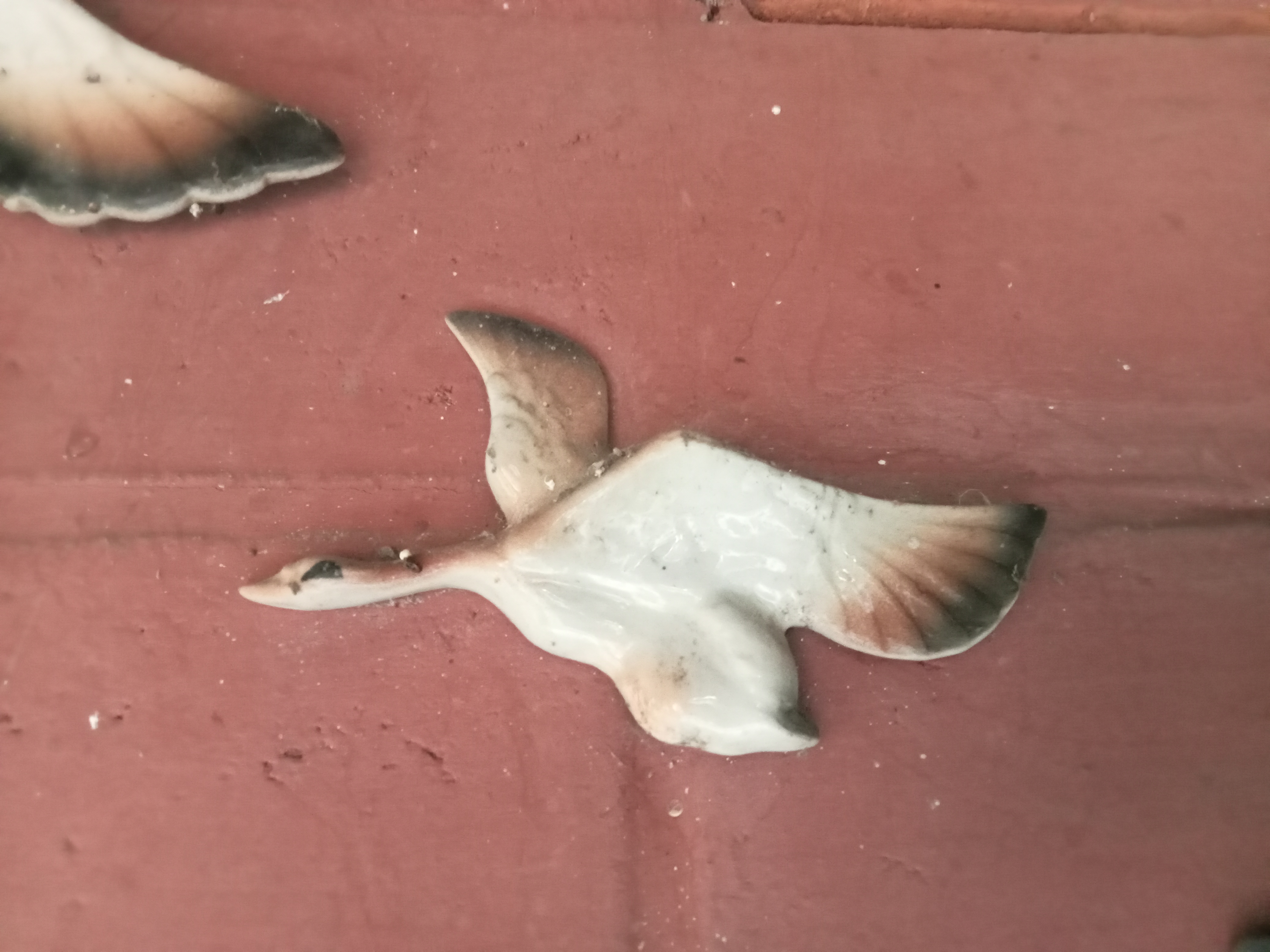 Rare wall-mounted birds since 1990, only 4 in perfect condition left.: 3 image