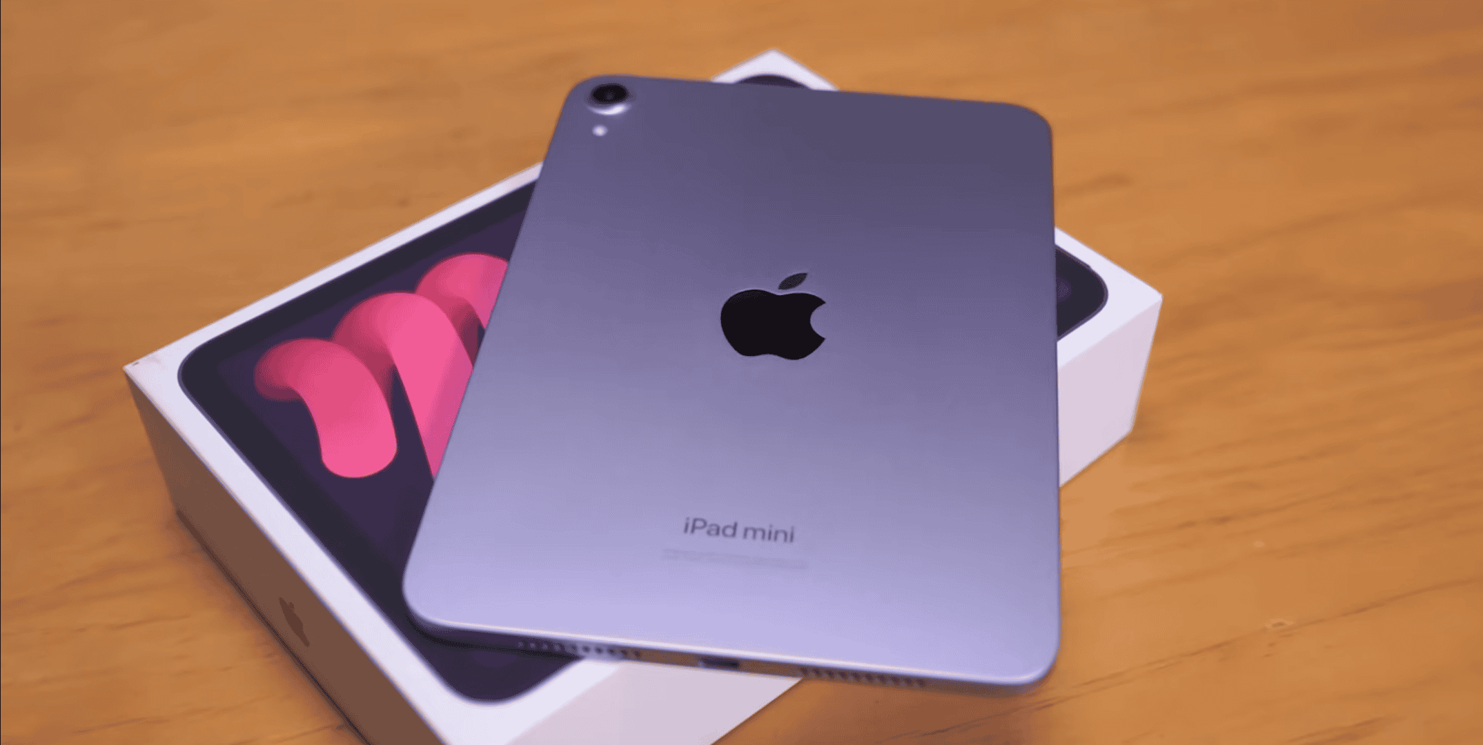 mini ipad7