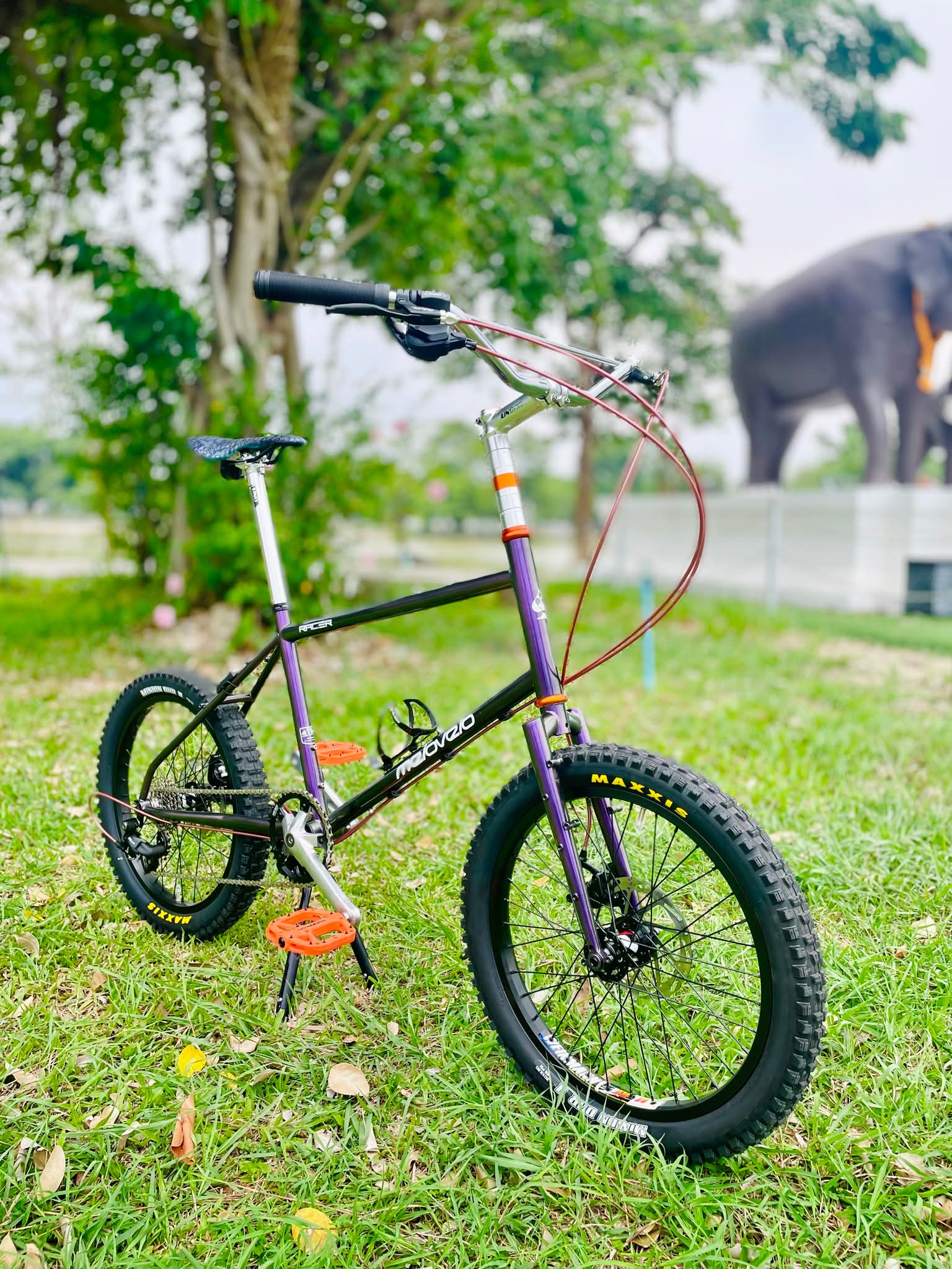 Mini bikes