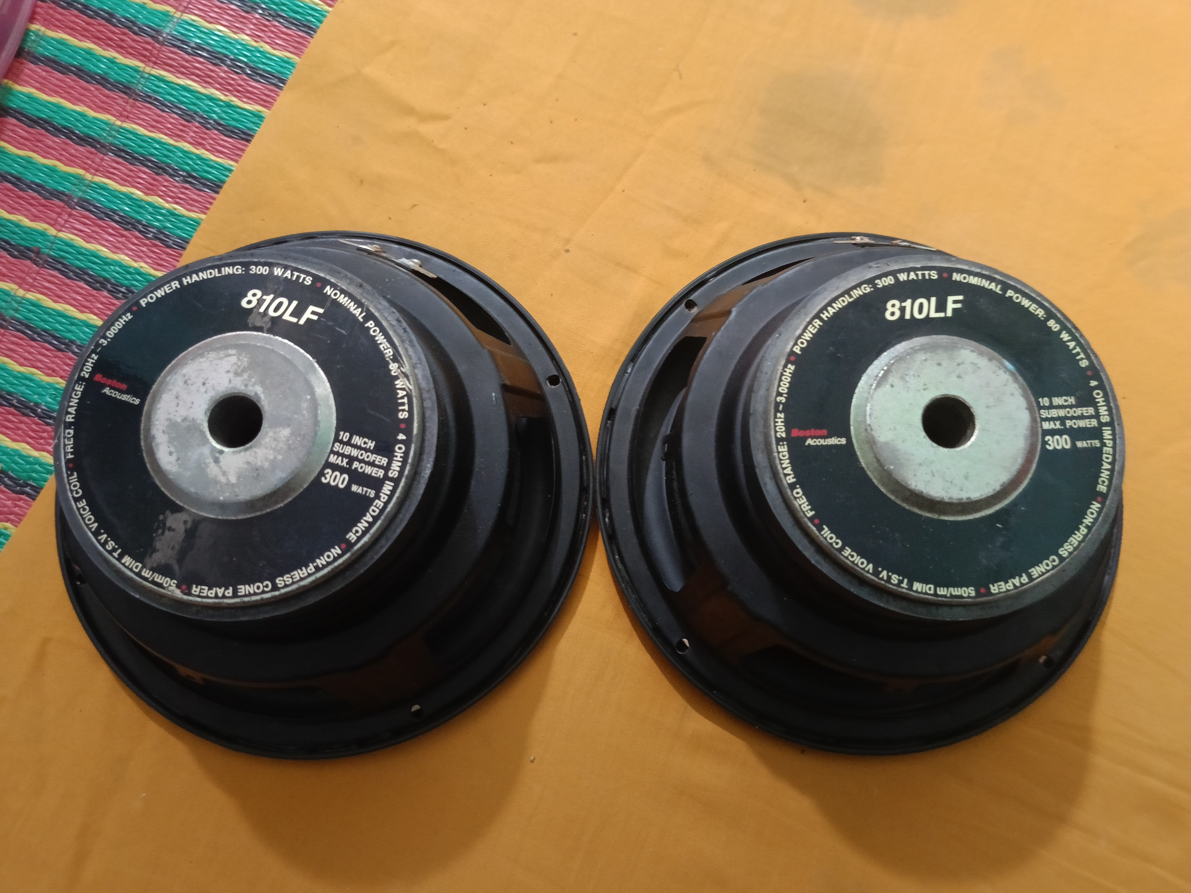 10-inch speaker cone