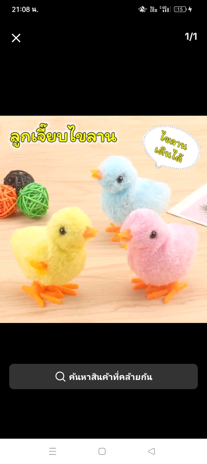 Chick pea