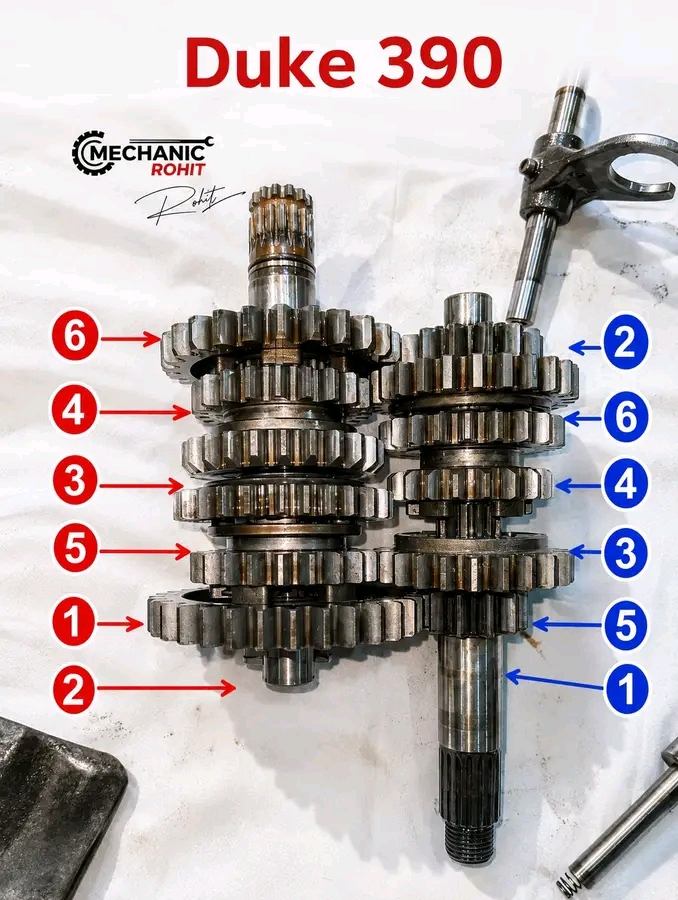 Gear picture